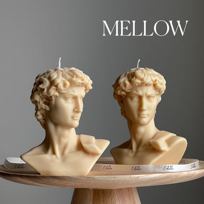 Michelangelo's David Head Candle | Soy Wax Bust Statue Candle-3